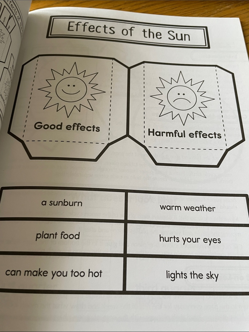 Interactive Notebooks Science Grade 1 NEW - Picture 12 of 13
